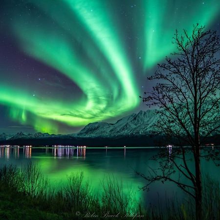 Lena Apartment Tromso Kvaloya 외부 사진