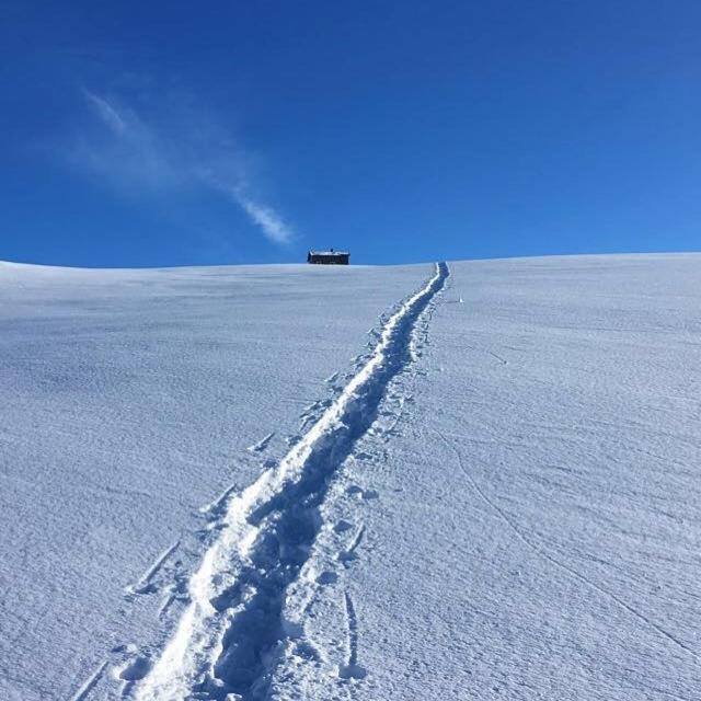 Lena Apartment Tromso Kvaloya 외부 사진